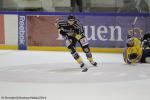 Photo hockey match Rouen - Dunkerque le 21/10/2014