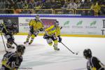 Photo hockey match Rouen - Dunkerque le 21/10/2014