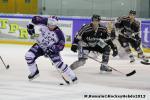Photo hockey match Rouen - Epinal  le 19/10/2013