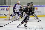 Photo hockey match Rouen - Epinal  le 19/10/2013