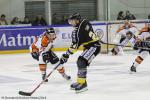Photo hockey match Rouen - Epinal  le 09/12/2014