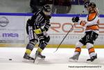 Photo hockey match Rouen - Epinal  le 28/12/2014