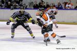 Photo hockey match Rouen - Epinal  le 27/02/2015