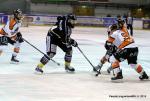 Photo hockey match Rouen - Epinal  le 27/02/2015