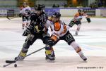Photo hockey match Rouen - Epinal  le 27/02/2015