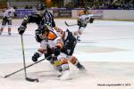 Photo hockey match Rouen - Epinal  le 27/02/2015