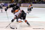 Photo hockey match Rouen - Epinal  le 27/02/2015