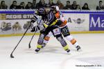Photo hockey match Rouen - Epinal  le 27/02/2015