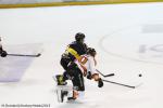 Photo hockey match Rouen - Epinal  le 28/02/2015