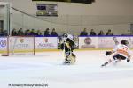 Photo hockey match Rouen - Epinal  le 24/01/2016
