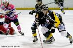 Photo hockey match Rouen - Epinal  le 04/12/2009