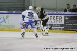 Photo hockey match Rouen - Gap  le 18/01/2014