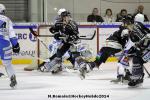 Photo hockey match Rouen - Gap  le 18/01/2014