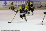 Photo hockey match Rouen - Gap  le 18/01/2014