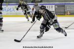 Photo hockey match Rouen - Gap  le 18/01/2014