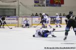 Photo hockey match Rouen - Gap  le 18/01/2014