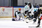 Photo hockey match Rouen - Gap  le 19/11/2019
