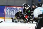 Photo hockey match Rouen - Gap  le 19/11/2019