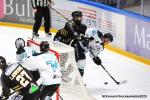 Photo hockey match Rouen - Gap  le 26/02/2020