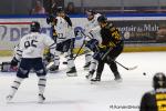 Photo hockey match Rouen - Gap  le 12/09/2025