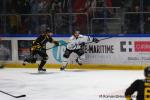 Photo hockey match Rouen - Gap  le 27/02/2026