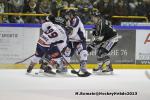 Photo hockey match Rouen - Grenoble  le 29/11/2013
