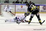 Photo hockey match Rouen - Grenoble  le 17/01/2015