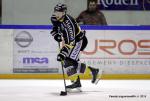 Photo hockey match Rouen - Grenoble  le 17/01/2015
