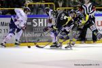 Photo hockey match Rouen - Grenoble  le 17/01/2015