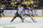 Photo hockey match Rouen - Grenoble  le 24/02/2016