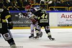 Photo hockey match Rouen - Grenoble  le 28/10/2016