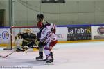 Photo hockey match Rouen - Grenoble  le 22/01/2017