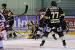 Photo hockey match Rouen - Grenoble  le 22/01/2017