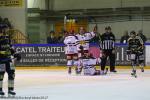 Photo hockey match Rouen - Grenoble  le 22/01/2017