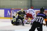 Photo hockey match Rouen - Grenoble  le 22/01/2017