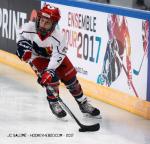 Photo hockey match Rouen - Grenoble  le 19/02/2017