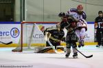 Photo hockey match Rouen - Grenoble  le 24/03/2017