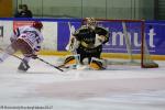 Photo hockey match Rouen - Grenoble  le 24/03/2017