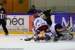 Photo hockey match Rouen - Grenoble  le 24/03/2017