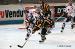 Photo hockey match Rouen - Grenoble  le 10/02/2008