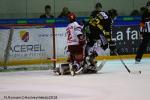 Photo hockey match Rouen - Grenoble  le 20/02/2018