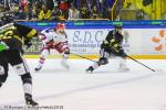 Photo hockey match Rouen - Grenoble  le 26/03/2018