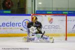 Photo hockey match Rouen - Grenoble  le 26/03/2018