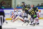 Photo hockey match Rouen - Grenoble  le 27/03/2018