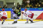 Photo hockey match Rouen - Grenoble  le 27/03/2018