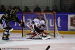 Photo hockey match Rouen - Grenoble  le 23/11/2018