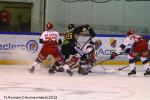 Photo hockey match Rouen - Grenoble  le 04/12/2018