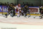 Photo hockey match Rouen - Grenoble  le 04/12/2018