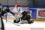Photo hockey match Rouen - Grenoble  le 11/10/2019