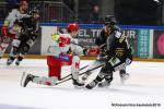 Photo hockey match Rouen - Grenoble  le 01/12/2019